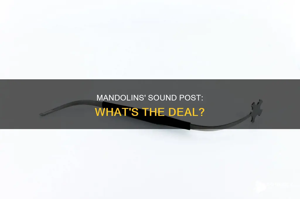 do mandolines have a sound post