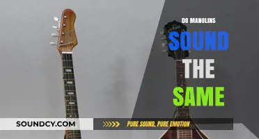 Do Manolins Sound Alike? Exploring Their Unique Tones and Characteristics
