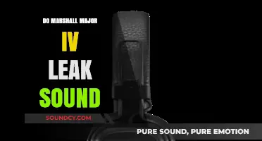 Marshall Major IV: Sound Leak Issues?