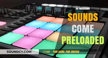Do Maschine Sounds Come Preloaded? Exploring Native Instruments' Factory Library