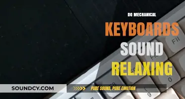Mechanical Keyboards: A Soothing Symphony or Distracting Noise?