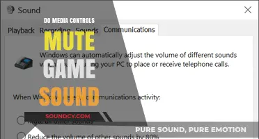 Media Controls: Do They Mute Game Audio?