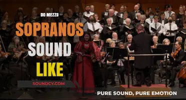 Exploring the Unique Vocal Range and Tone of Mezzo Sopranos