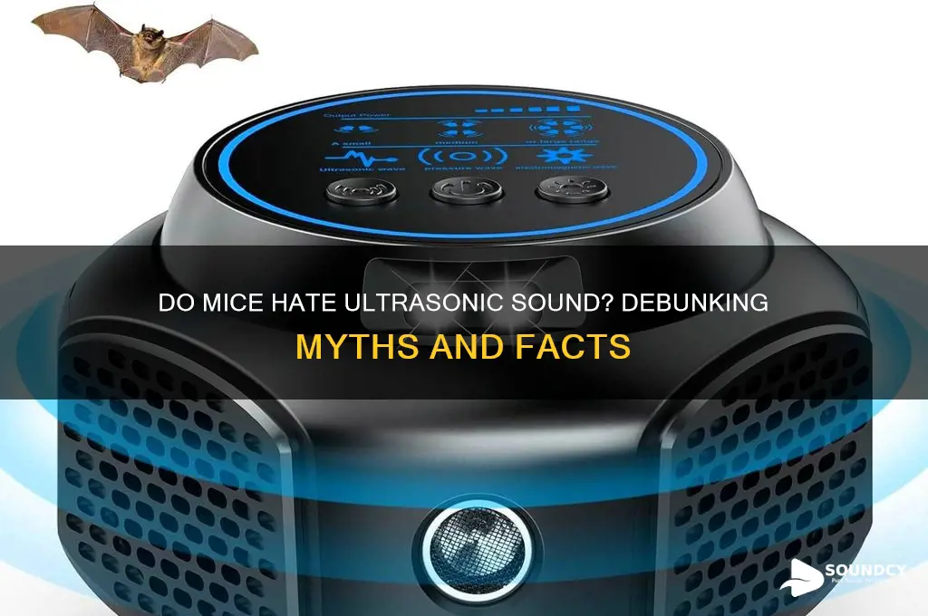 do mice hate ultrasonic sound