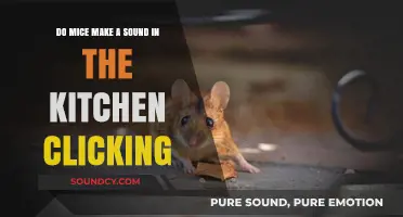 Do Mice Make Clicking Sounds in the Kitchen? Uncovering the Truth