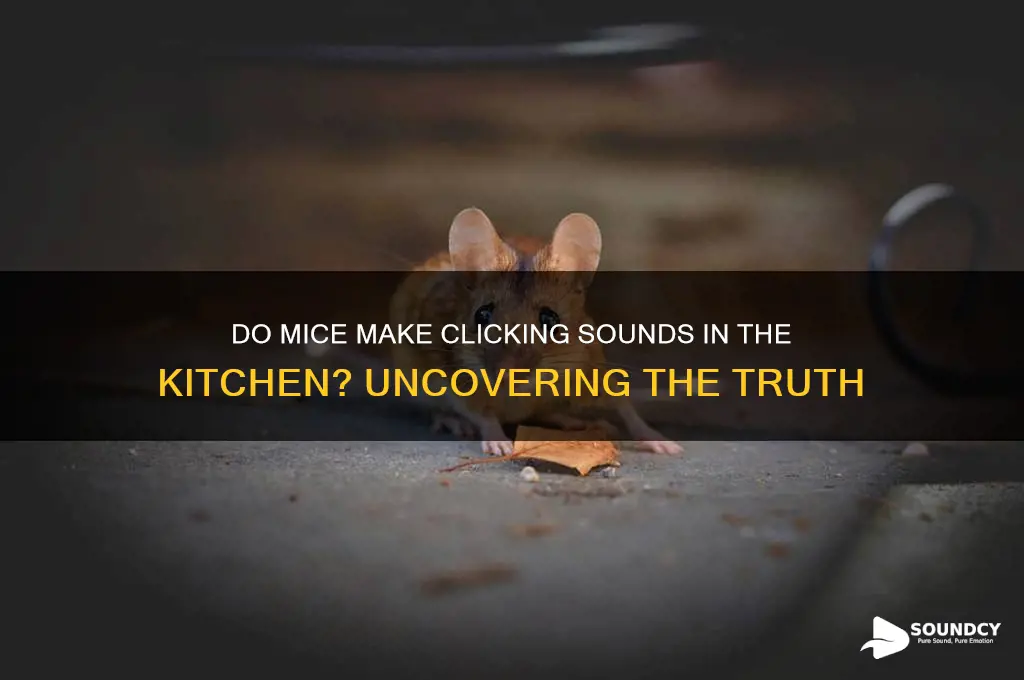 do mice make a sound in the kitchen clicking