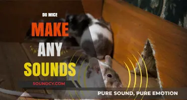 Do Mice Make Sounds? Uncovering the Noises of These Tiny Rodents