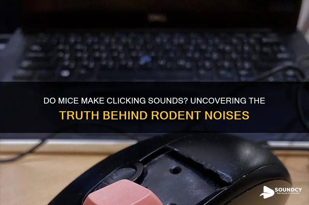 do mice make clicking sound