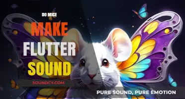 Do Mice Flutter? Unraveling the Mystery of Their Unique Sounds