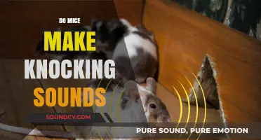 Do Mice Make Knocking Sounds? Unraveling Rodent Noises in Your Home