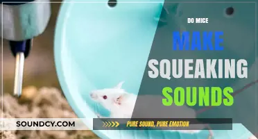 Do Mice Squeak? Unraveling the Mystery of Mouse Noises
