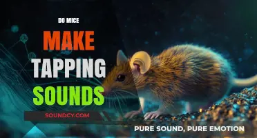 Do Mice Make Tapping Sounds? Uncovering the Truth Behind Rodent Noises
