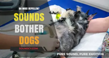 Ultrasonic Pest Repellents: Safe for Dogs?