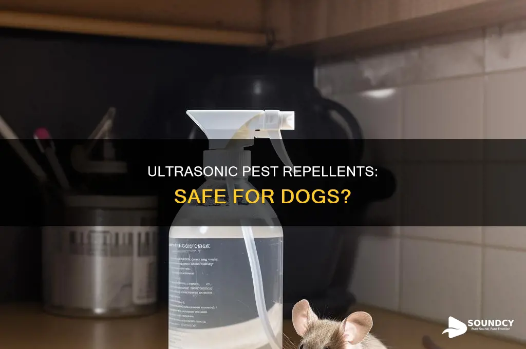 do mice repellent sounds bother dogs