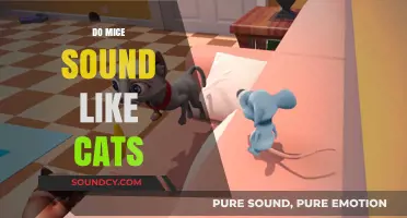 Do Mice Sound Like Cats? Unraveling the Myth and Reality