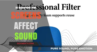 How Wind Screens Alter Microphone Audio