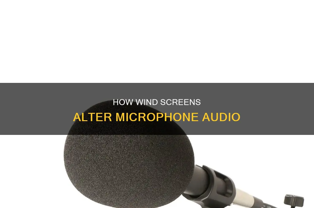 do microphone wind screens affect sound