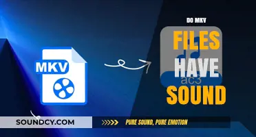Do MKV Files Have Sound? Understanding Audio in MKV Format
