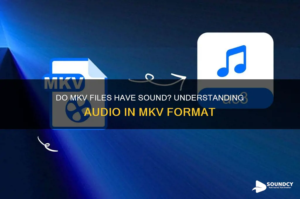 do mkv files have sound