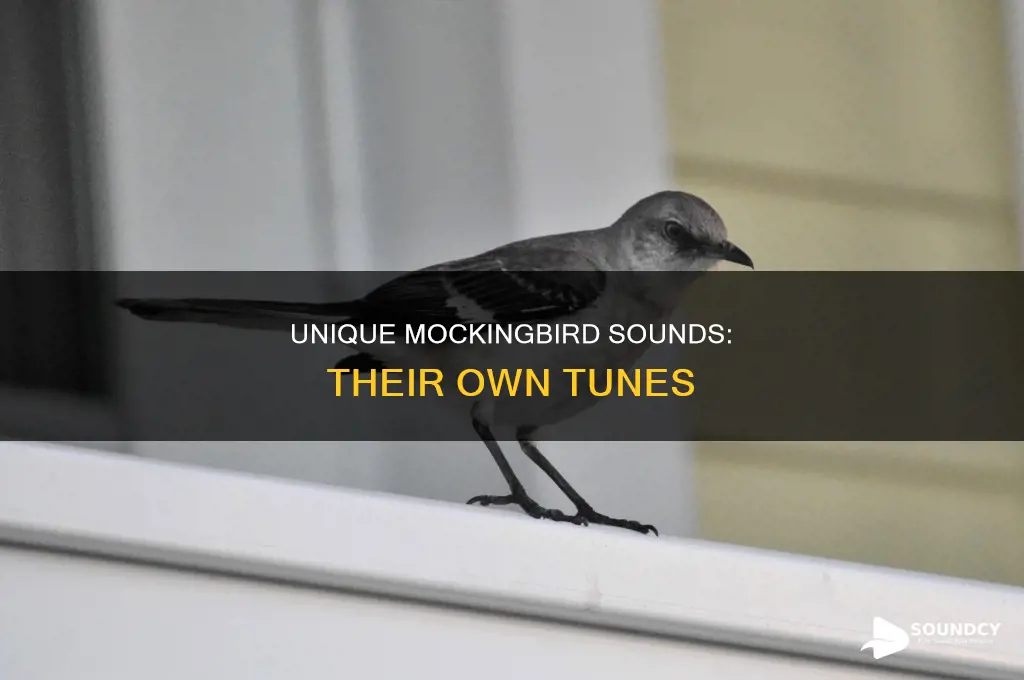 do mockingbirds have their own sound