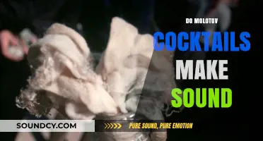 Do Molotov Cocktails Make Sound? Exploring the Ignition Noise