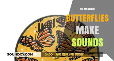 Do Monarch Butterflies Make Sounds? Unveiling Their Silent Communication