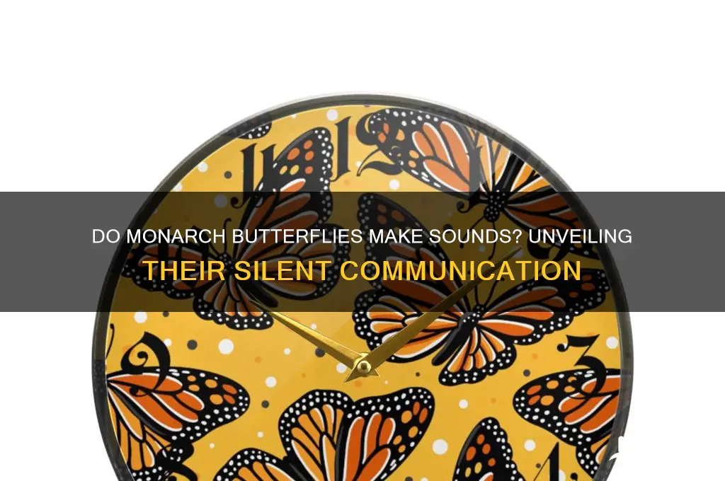 do monarch butterflies make sounds