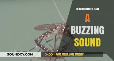 Mosquito Buzz: Why Do We Hear That Sound?