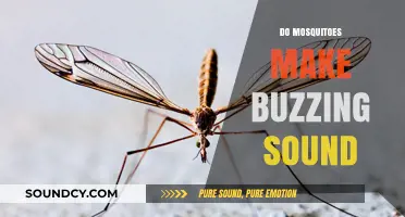Why Mosquitoes Buzz: Unraveling the Science Behind Their Annoying Sound