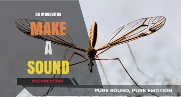 Do Mosquitoes Make Noise? Uncovering the Buzzing Truth Behind the Bite