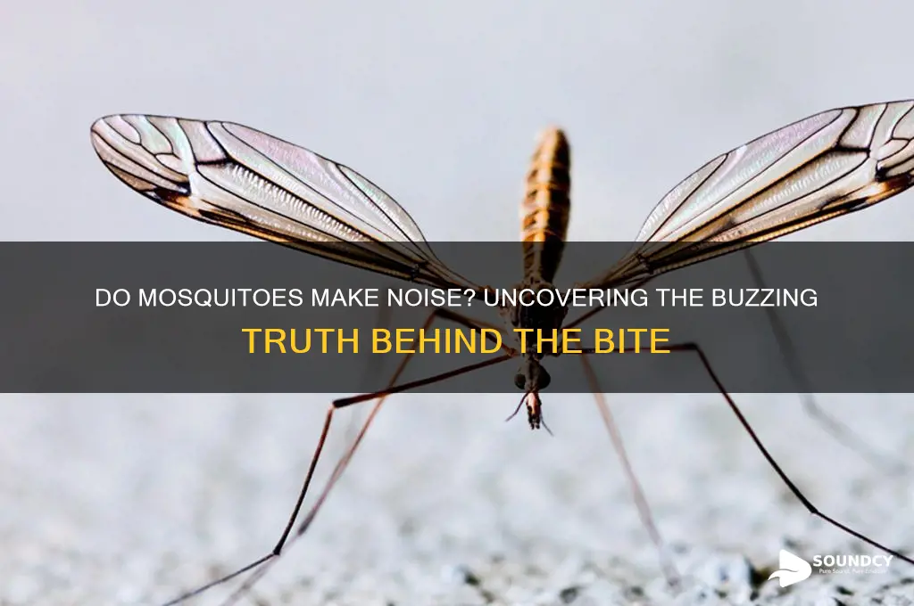 do mosquitos make a sound