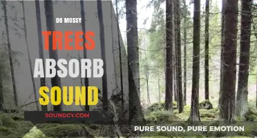 Mossy Trees and Sound Absorption: Uncovering Nature's Acoustic Secrets