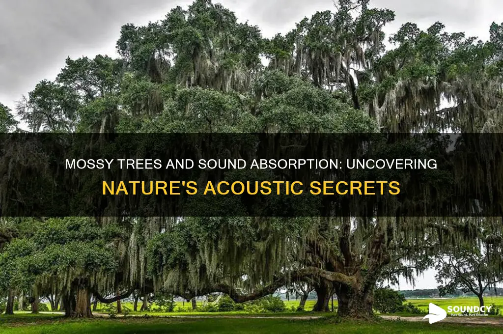 do mossy trees absorb sound