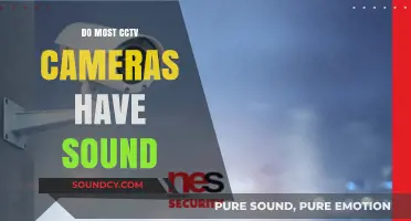CCTV Cameras: Do They Pick Up Audio?
