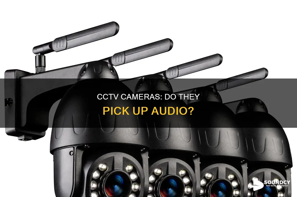 do most cctv cameras have sound