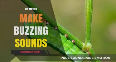 Do Moths Buzz? Unraveling the Mystery of Their Noises