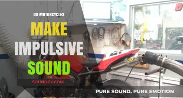 Motorcycle Sounds: Impulsive Noise or Engineered Excitement?