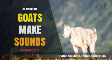 Do Mountain Goats Make Sounds? Exploring Their Vocalizations and Communication