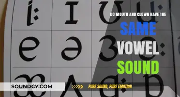 Mouth vs. Clown: Unraveling the Vowel Sound Mystery in English Pronunciation