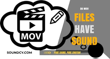 Do MOV Files Have Sound? Understanding Audio in QuickTime Videos