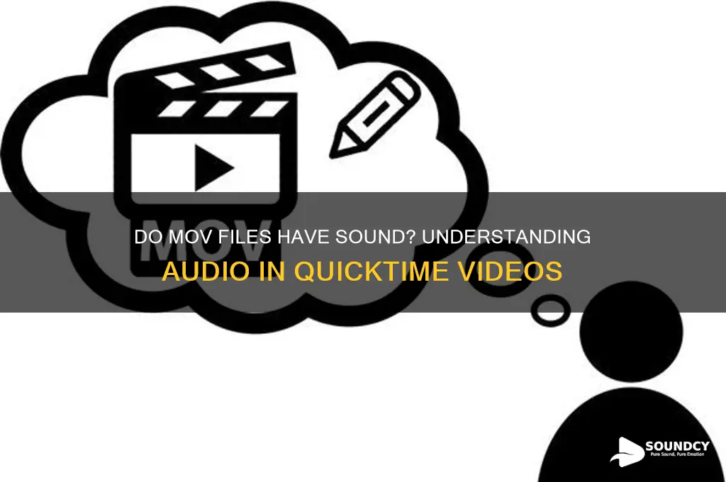 do mov files have sound