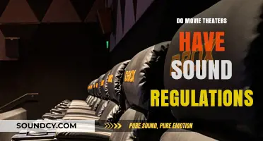Sound Rules: Movie Theaters and Their Regulations