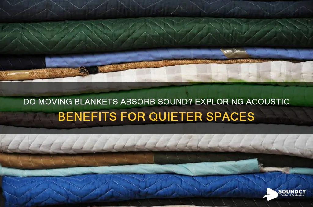 do moving blankets absorb sound