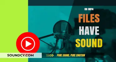 Do MP4 Files Include Audio? Understanding Video and Sound Integration