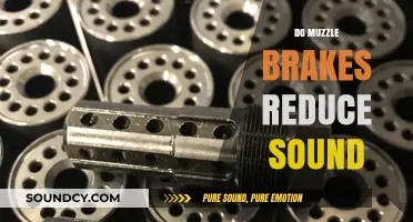 Do Muzzle Brakes Reduce Sound? Exploring Firearms Recoil Management