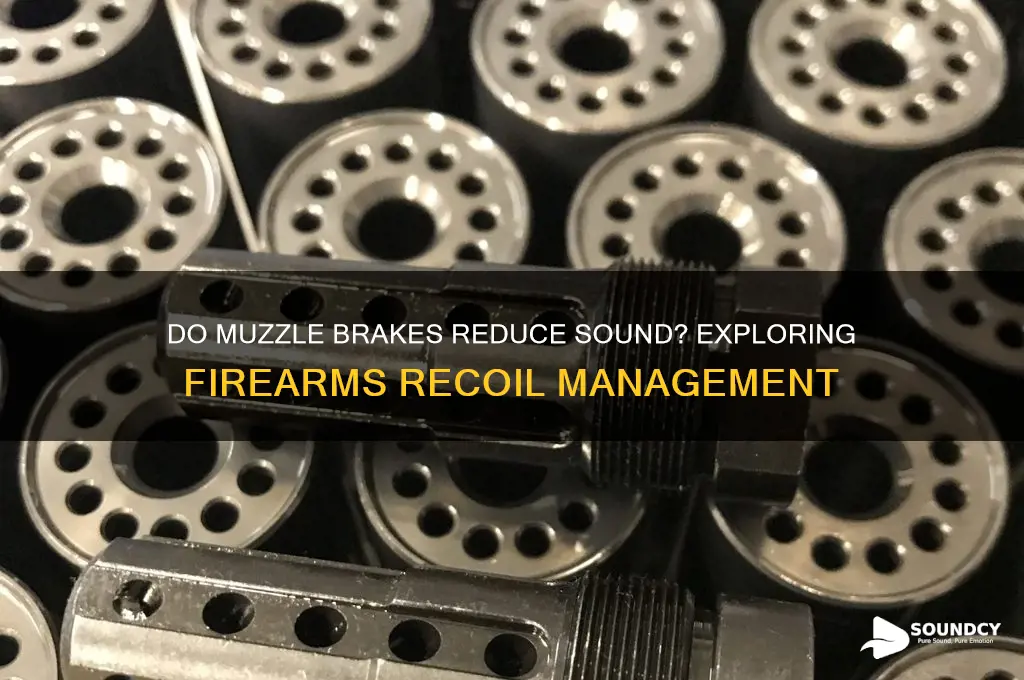 do muzzle brakes reduce sound