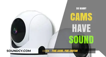 Do Nanny Cams Have Sound? Exploring Audio Features and Privacy Concerns