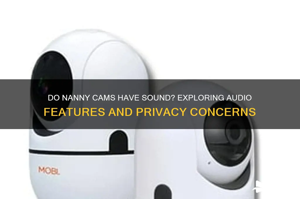 do nanny cams have sound