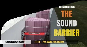 NASCAR's Speed: Breaking the Sound Barrier?