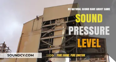 Exploring Natural Sounds: Do They Share Similar Sound Pressure Levels?